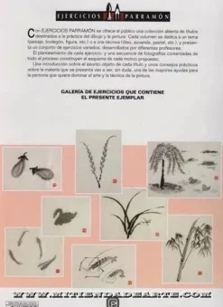 Ejercicios Parramón 36 Sumi-e aguada japonesa