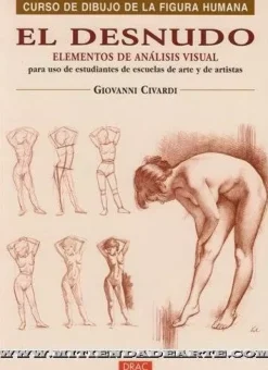 El Desnudo (elementos de análisis visual)