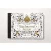 Enchanted forest 20 Postcards