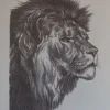 Estudios de dibujo artístico por Emilio Freixas ES02 Cabezas de animales