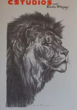 Estudios de dibujo artístico por Emilio Freixas ES02 Cabezas de animales