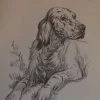 Estudios de dibujo artístico por Carlos Freixas ES27 Perros