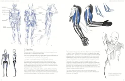 Figure Drawing without a Model Anatomy movement and character expression from memory and imagination