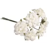 Flores Anemone Blanco Rayher