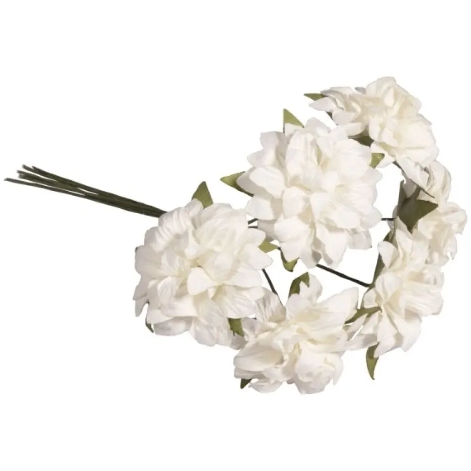 Flores Anemone Blanco Rayher
