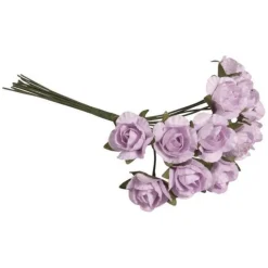 Flores Anemone Rosa Lila Rayher
