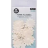 Flores de papel Creme Studio Light