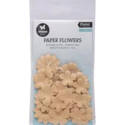 Flores de papel Kraft Studio Light