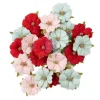Flores Cherry Candy Sweet Cherry Frank García Prima Marketing