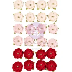 Flores Cherry Kisses Cherry Sweet Frank García Prima Marketing