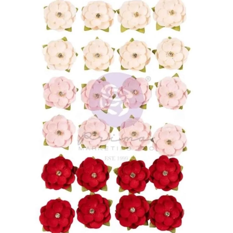 Flores Cherry Kisses Cherry Sweet Frank García Prima Marketing