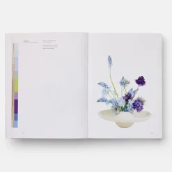 Flower Colour Theory