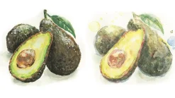 Godet acuarela japonesa gigante Gansai Tambi Kuretake