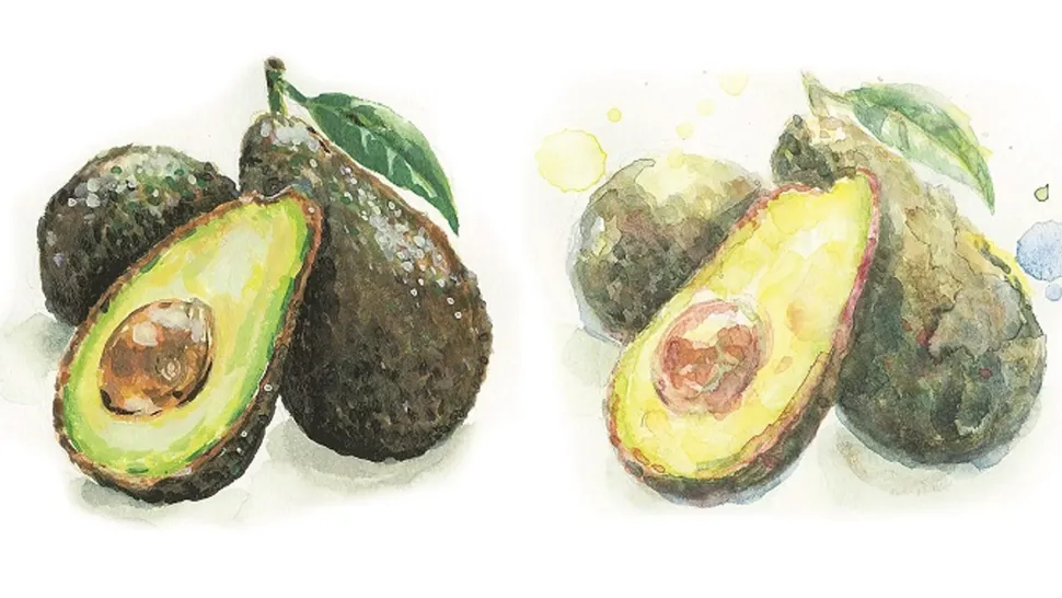 Godet acuarela japonesa gigante Gansai Tambi Kuretake