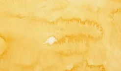 Godet acuarela japonesa gigante 44 Amarillo Ocre Gansai Tambi Kuretake