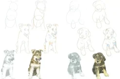 How to Draw Puppies in Simple Steps