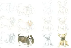 How to Draw Puppies in Simple Steps