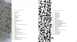 Juegos de escritura caligrafía experimental