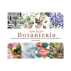Just draw botanicals by Helen Birch