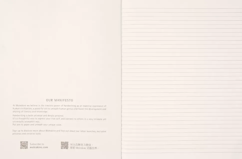 Libreta Cahier edición limitada Wizarding World Wingardium Leviosa Harry Potter 19x25cm Moleskine