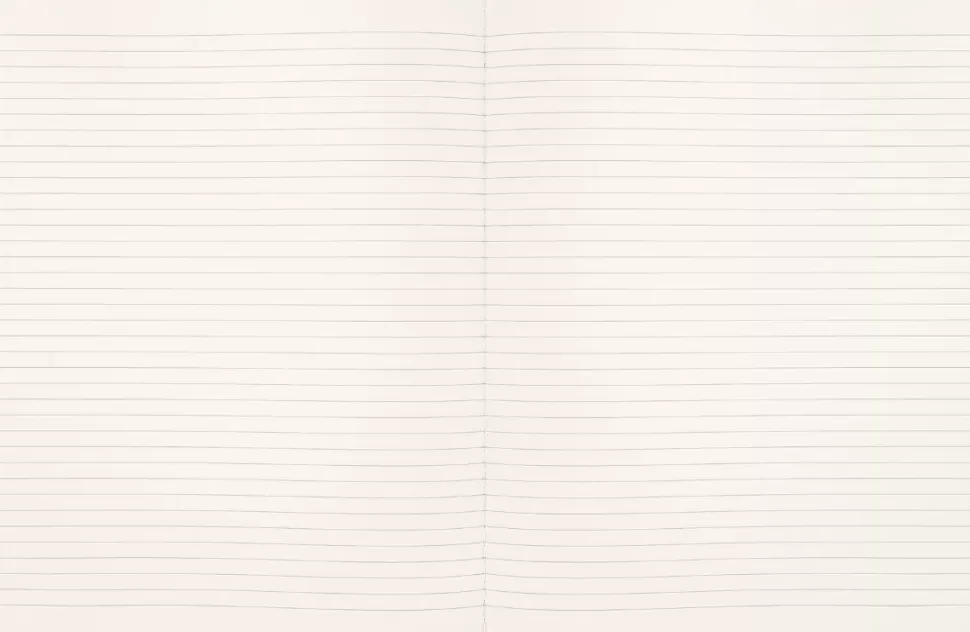 Libreta Cahier edición limitada Wizarding World Wingardium Leviosa Harry Potter 19x25cm Moleskine