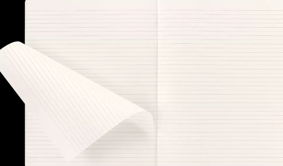 Libreta Cahier edición limitada Wizarding World Wingardium Leviosa Harry Potter 19x25cm Moleskine
