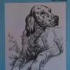 Láminas de dibujo artístico por Carlos Freixas Serie Azul E27 Perros