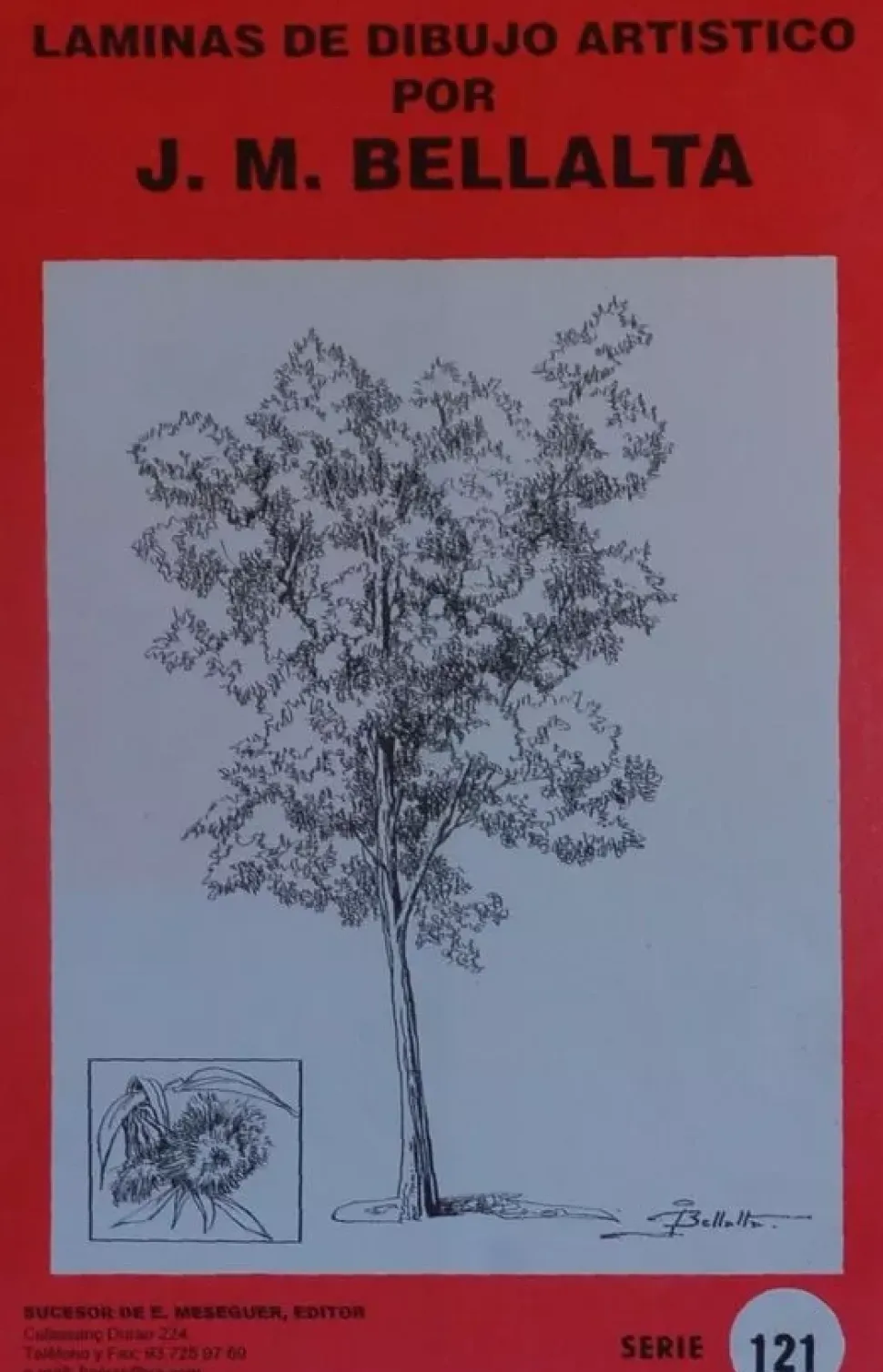 Láminas de dibujo artístico por J.M. Bellalta 121 Arboles I