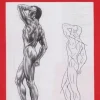 Láminas de dibujo artístico por Emilio Freixas SR67 Anatomía masculina I