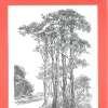 Láminas de dibujo artístico por J.M. Bellalta 147 Paisaje IV