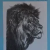 Láminas de dibujo artístico por Emilio Freixas E02 Cabezas de animales