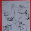 Láminas de dibujo artístico por Emilio Freixas SR31 Animales domésticos