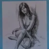 Láminas de dibujo artístico por Carlos Freixas Serie Azul E10 Desnudo femenino