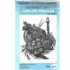 Láminas de dibujo artístico por Carlos Freixas Serie Azul E07 Bodegones