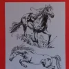 Láminas de dibujo artístico por J.M. Bellalta 140 Caballos II