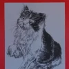 Láminas de dibujo artístico por J.M. Bellalta 115 Gatos