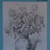 Láminas de dibujo artístico por Emilio Freixas E04 Flores