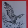 Láminas de dibujo artístico por J.M. Bellalta 113 Aves I