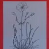 Láminas de dibujo artístico por J.M. Bellalta 129 Flores II