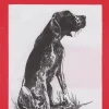 Láminas de dibujo artístico por J.M. Bellalta 133 Perros
