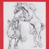 Láminas de dibujo artístico por J.M. Bellalta 101 Caballos