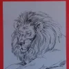 Láminas de dibujo artístico por J.M. Bellalta 120 Animales salvajes