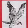 Láminas de dibujo artístico por Emilio Freixas SR52 Aves I