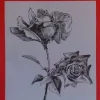 Láminas de dibujo artístico por J.M. Bellalta 105 Flores I