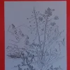 Láminas de dibujo artístico por J.M. Bellalta 116 Paisaje I