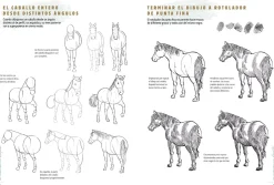 Los cuadernos del dibujante Caballos y Ponis