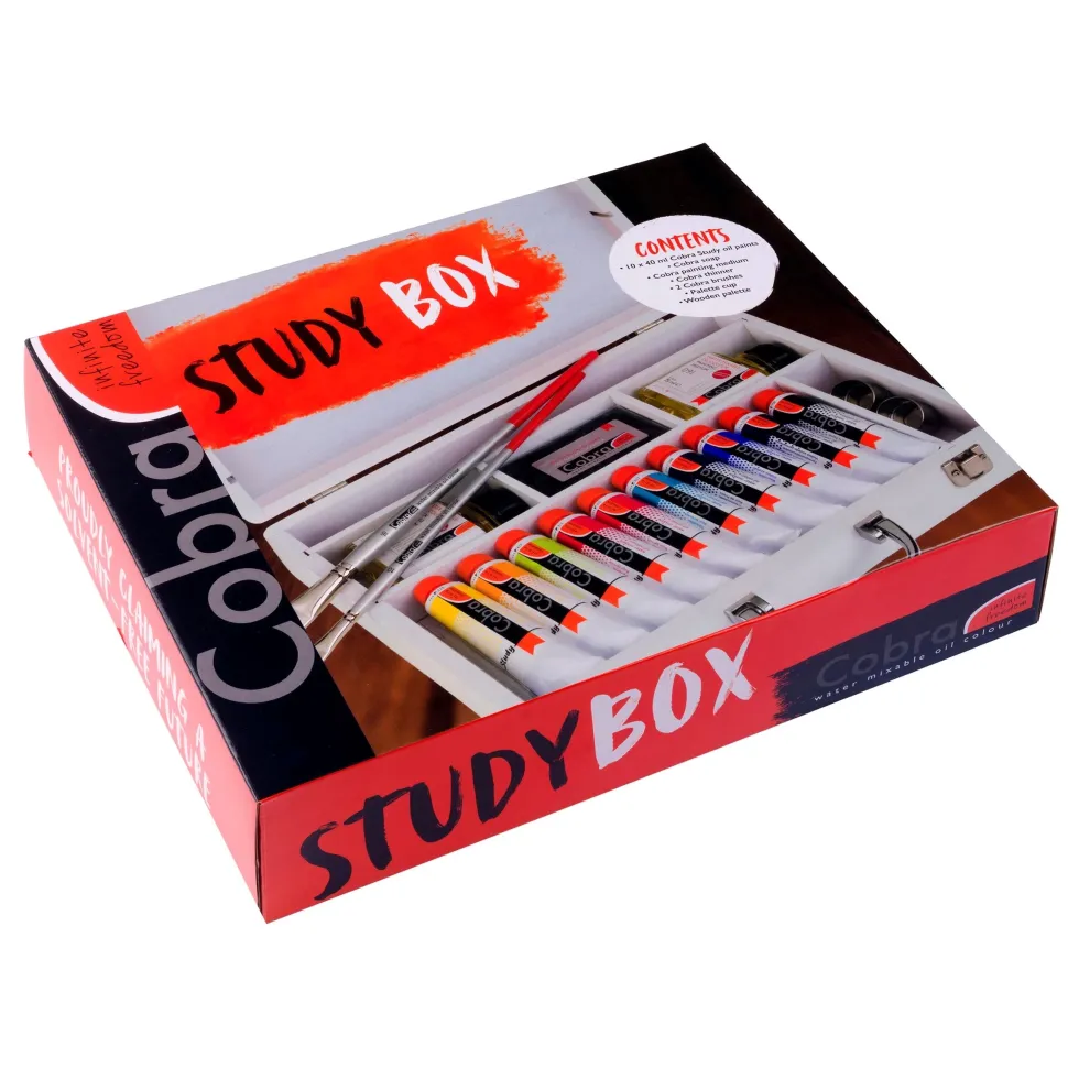 Maletín óleos al agua y accesorios Study Box Cobra Talens