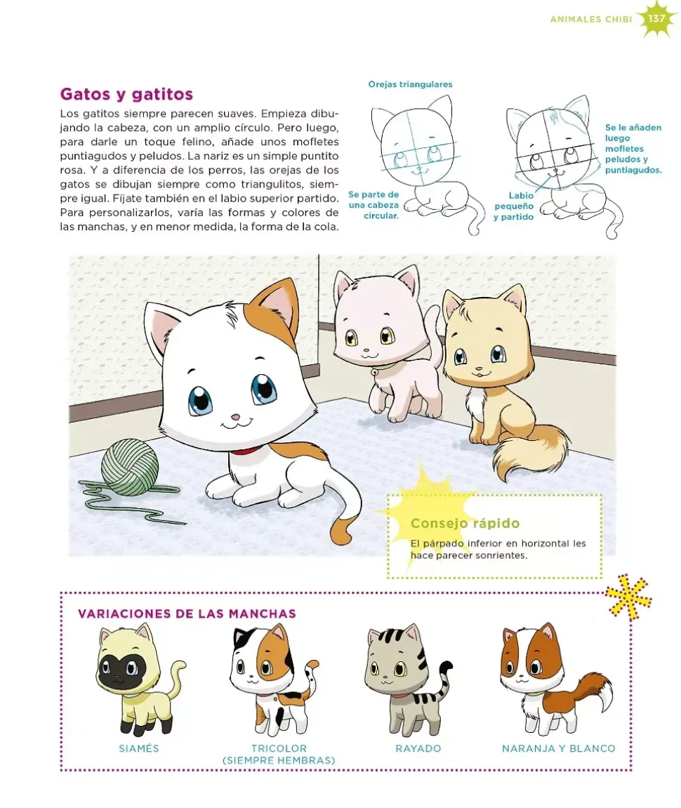 Manga Guía de Iniciación Chibis