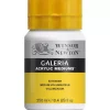 Médium acrílico Voluminizador Galeria Winsor & Newton 250ml