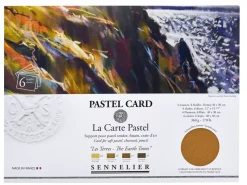 Pack 6 Papeles Pastel Card Sennelier 40x30cm 360g/m²
